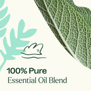Plant Therapy Dalmatian Sage Essential Oil Essential Oil White Smoke 10 mL