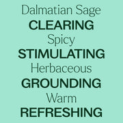 Plant Therapy Dalmatian Sage Essential Oil Essential Oil Powder Blue 10 mL