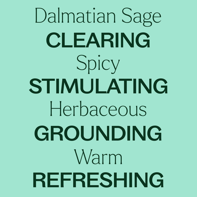 Plant Therapy Dalmatian Sage Essential Oil Essential Oil Powder Blue 10 mL