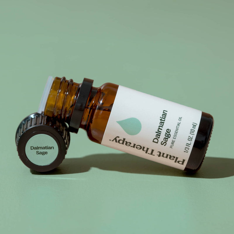 Plant Therapy Dalmatian Sage Essential Oil Essential Oil Dark Sea Green 10 mL