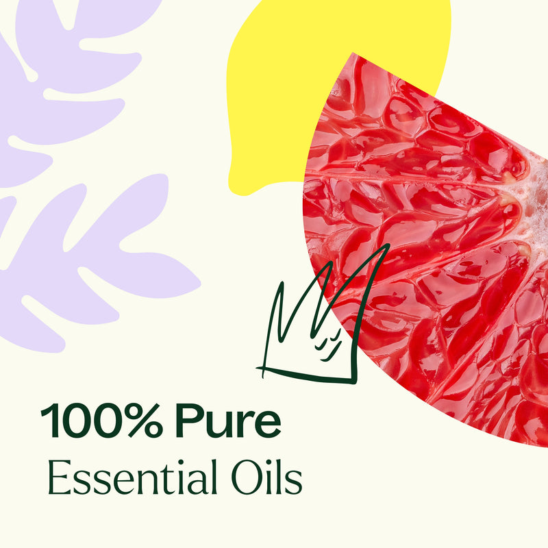 Plant Therapy Defender Essential Oil Blend Essential Oil Seashell 10 mL,30 mL
