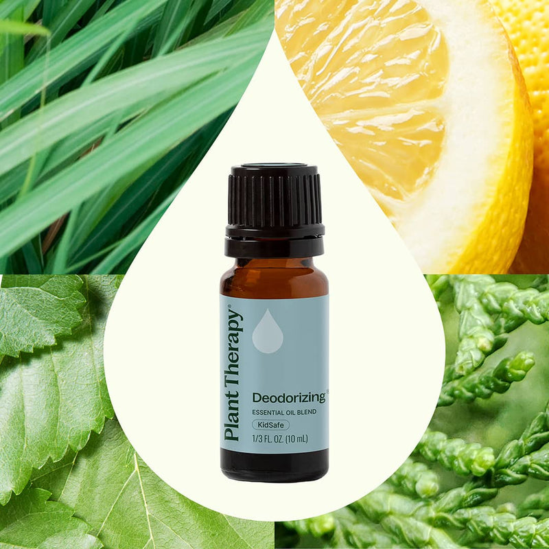 Plant Therapy Deodorizing Essential Oil Blend Essential Oil Seashell 10 mL,30 mL,100 mL