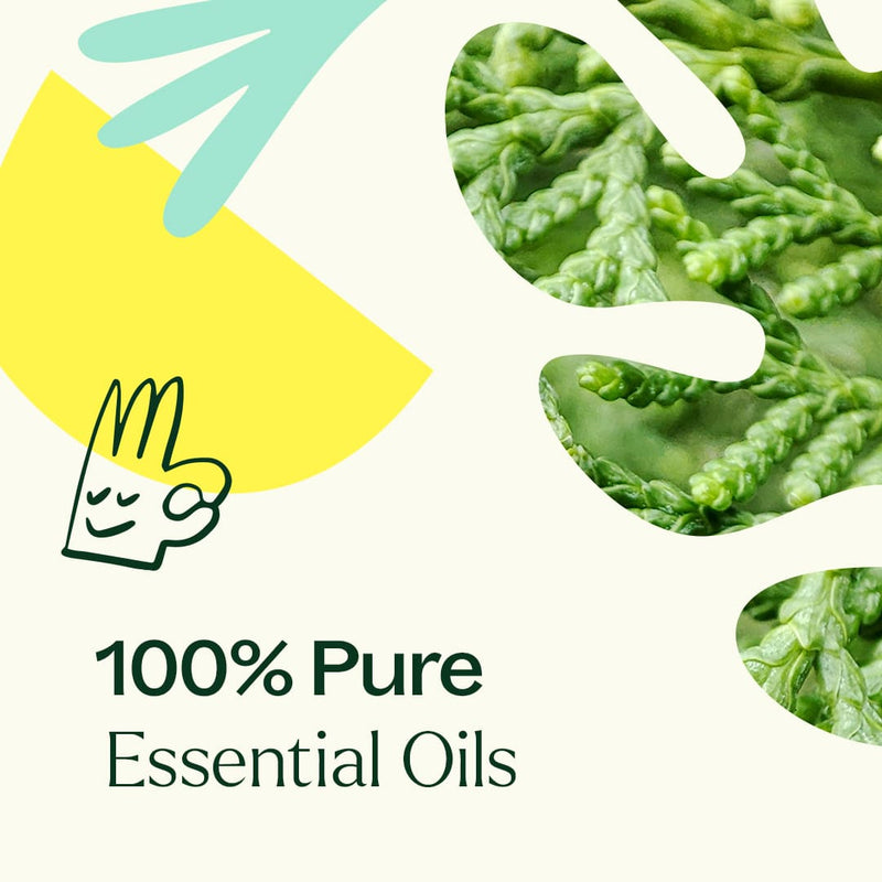 Plant Therapy Deodorizing Essential Oil Blend Essential Oil Seashell 10 mL,30 mL,100 mL