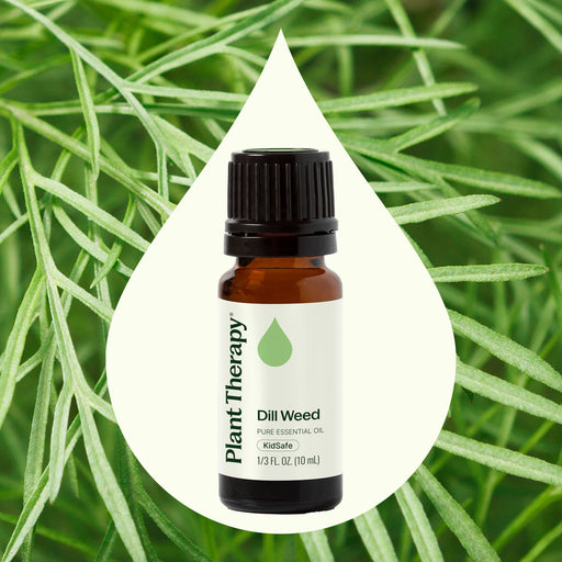 Plant Therapy Dill Weed Essential Oil Essential Oil Seashell 10 mL