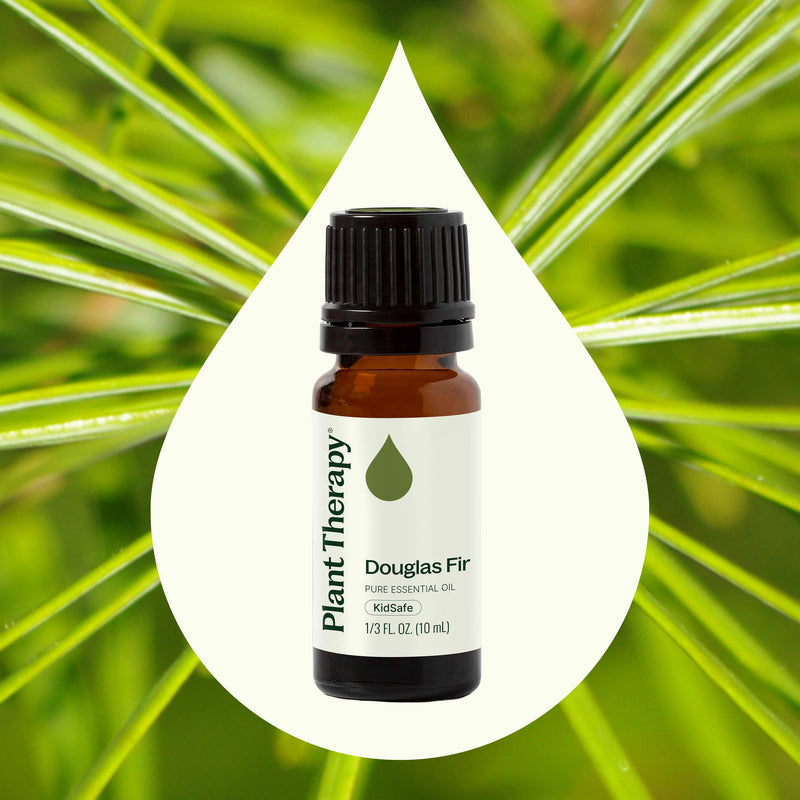 Plant Therapy Douglas Fir Essential Oil Essential Oil Seashell 10 mL,5 mL
