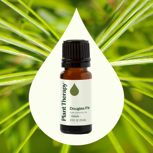Plant Therapy Douglas Fir Essential Oil Essential Oil Seashell 10 mL,5 mL