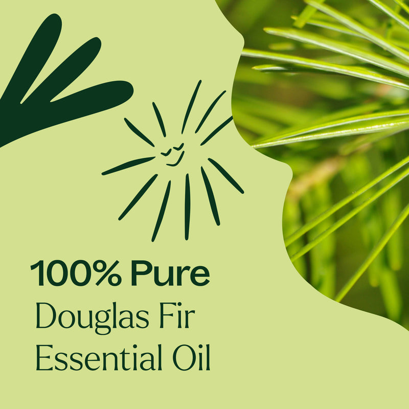 Plant Therapy Douglas Fir Essential Oil Essential Oil Khaki 10 mL,5 mL