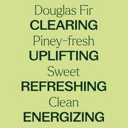 Plant Therapy Douglas Fir Essential Oil Essential Oil Khaki 10 mL,5 mL