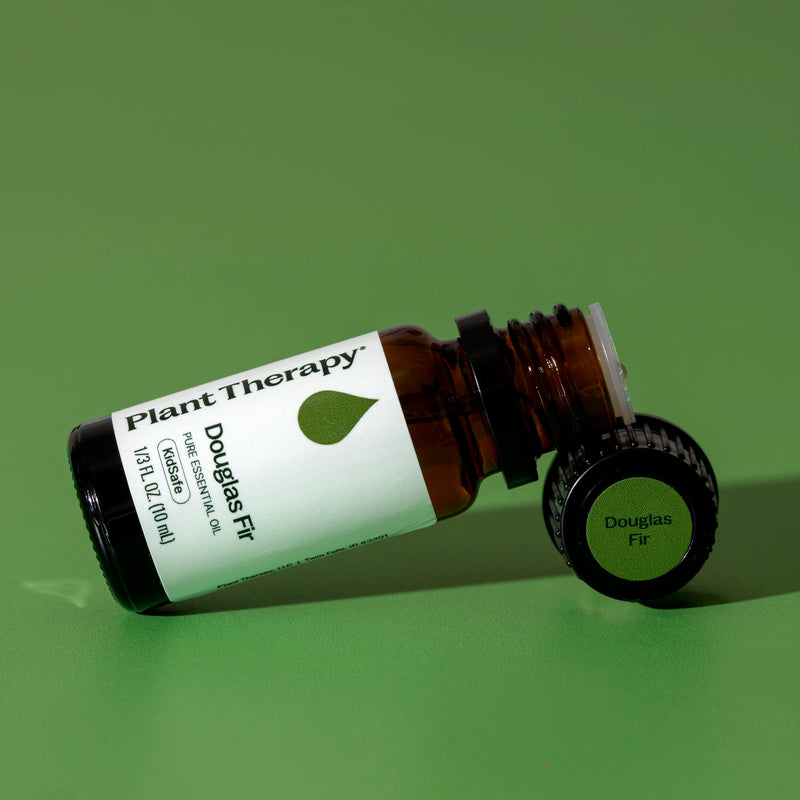 Plant Therapy Douglas Fir Essential Oil Essential Oil Dark Olive Green 10 mL,5 mL