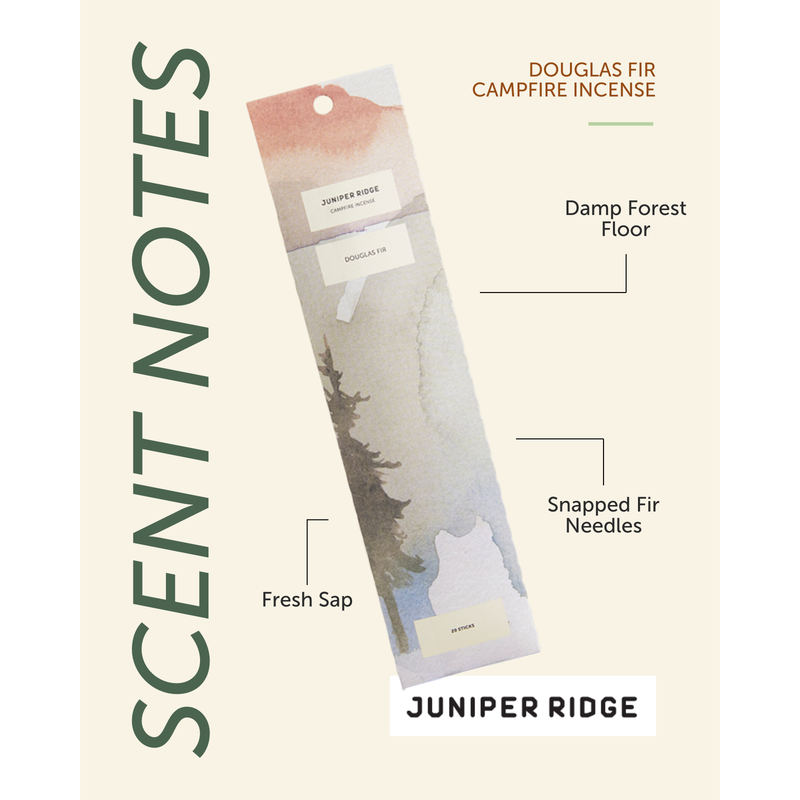 Juniper Ridge Douglas Fir Campfire Incense (20 Sticks) 3-Pack Incense Seashell