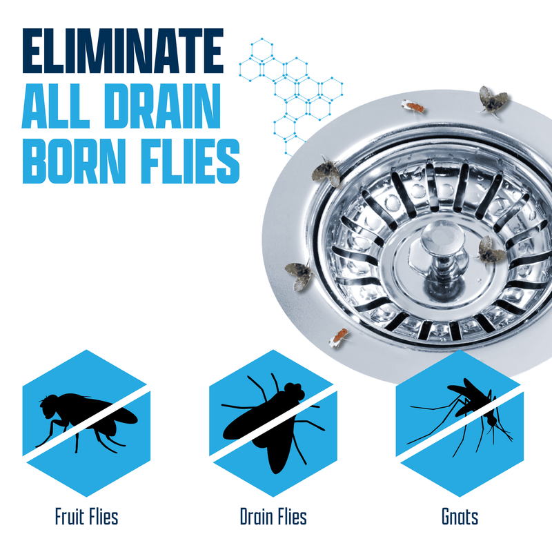 EcoStrong Drain and Fruit Fly Eliminator Drain & Septic > Drain & Fruit Flies White Smoke 1 Gallon Jug,1 Gallon with 3 Fly Finder Traps,4 x 1 Gallon Jugs,2 Gallon Jug,64 oz Bottle,32 oz Bottle