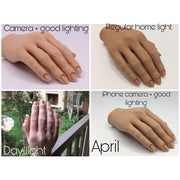 Red Iguana LLC 2.0 Silicone Practice Finger 2.0 Hand Light Gray Inessa,April,Liza,Lucy,Analuisa,Evelyn