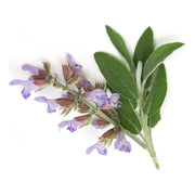 Heliotrope San Francisco Essential Oil - Clary Sage Essential Oil Light Gray