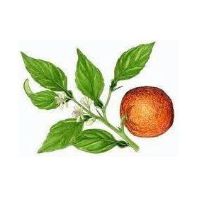 Heliotrope San Francisco Essential Oil Blend Evening (Neroli Lemon) Essential Oil White Smoke