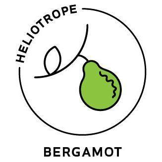 Heliotrope San Francisco Essential Oil - Bergamot Essential Oil Black