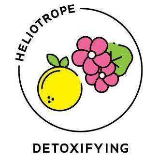 Heliotrope San Francisco Essential Oil Blend Detoxifying (Grapefruit Geranium) Essential Oil Goldenrod