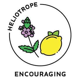 Heliotrope San Francisco Essential Oil Blend Encouraging (Verbena Lemon) Essential Oil Light Gray