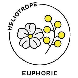 Heliotrope San Francisco Essential Oil Blend Euphoric (Jasmine Mimosa) Essential Oil Lavender