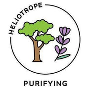 Heliotrope San Francisco Essential Oil Blend Purifying (Cypress Lavender) Essential Oil Black