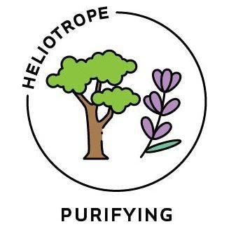 Heliotrope San Francisco Essential Oil Blend Purifying (Cypress Lavender) Essential Oil Black