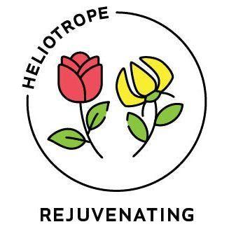 Heliotrope San Francisco Essential Oil Blend Rejuvenating (Rose Ylang Ylang) Essential Oil Lavender