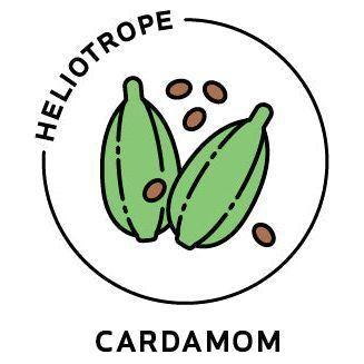 Heliotrope San Francisco Essential Oil - Cardamom Essential Oil Dark Sea Green