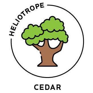 Heliotrope San Francisco Essential Oil - Cedar Essential Oil Yellow Green
