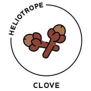 Heliotrope San Francisco Essential Oil - Clove Essential Oil Black