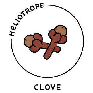 Heliotrope San Francisco Essential Oil - Clove Essential Oil Black