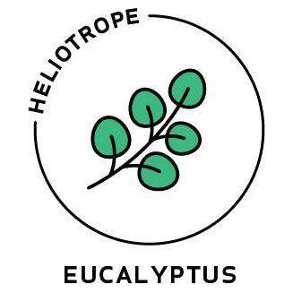 Heliotrope San Francisco Essential Oil - Eucalyptus Essential Oil Black