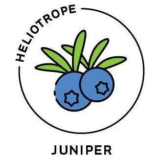 Heliotrope San Francisco Essential Oil - Juniper Essential Oil White Smoke