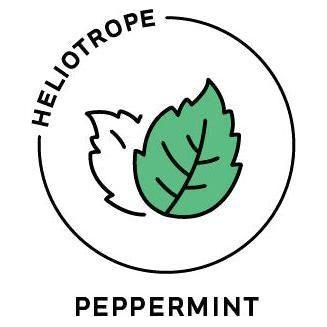 Heliotrope San Francisco Essential Oil - Peppermint Essential Oil Medium Sea Green