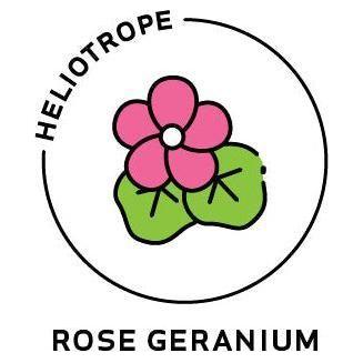 Heliotrope San Francisco Essential Oil - Rose Geranium Essential Oil Light Pink
