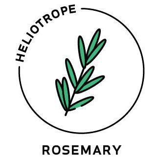 Heliotrope San Francisco Essential Oil - Rosemary Essential Oil Black