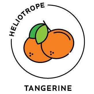Heliotrope San Francisco Essential Oil - Tangerine Essential Oil Goldenrod