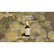 Altar Native (PRE-ORDER) Ecstatic ⟡ Kanna & Damiana Drops Tincture Dim Gray