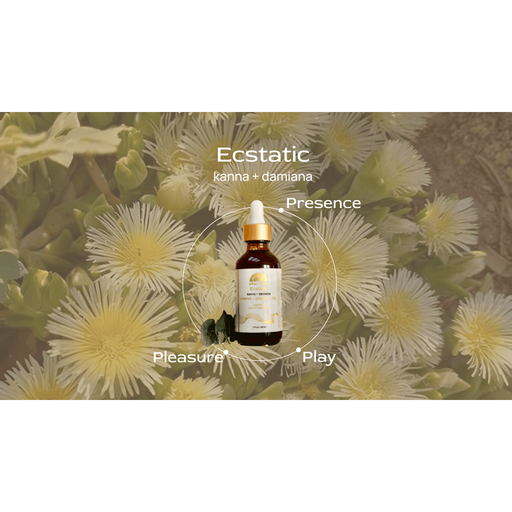 Altar Native (PRE-ORDER) Ecstatic ⟡ Kanna & Damiana Drops Tincture Dim Gray
