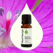 Plant Therapy Egyptian Geranium Essential Oil Essential Oil Seashell 5 mL,10 mL,30 mL
