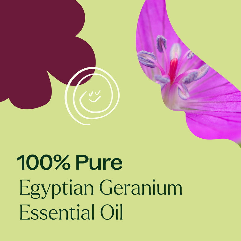 Plant Therapy Egyptian Geranium Essential Oil Essential Oil Light Goldenrod 5 mL,10 mL,30 mL
