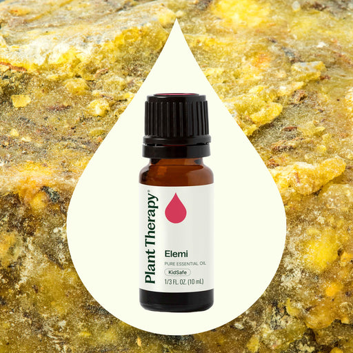 Plant Therapy Elemi Essential Oil Essential Oil Seashell 10 mL