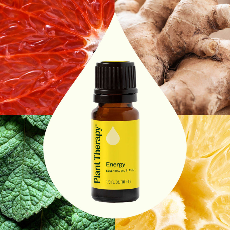 Plant Therapy Energy Essential Oil Blend Essential Oil Antique White 10 mL