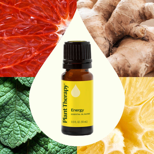 Plant Therapy Energy Essential Oil Blend Essential Oil Antique White 10 mL