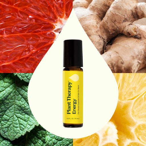 Plant Therapy Energy Essential Oil Blend Pre-Diluted Roll-On Essential Oil Seashell 10 mL