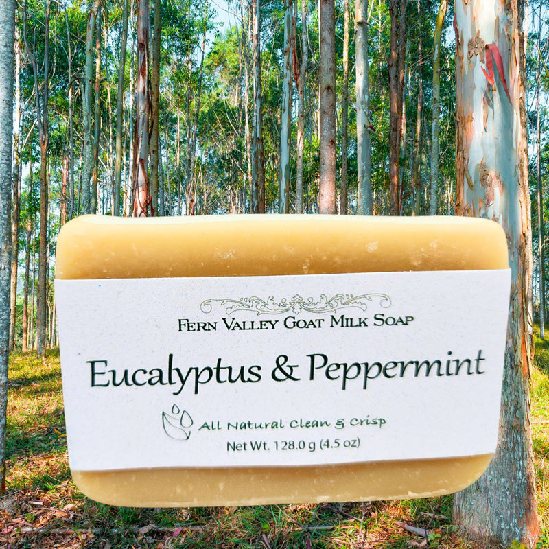Fern Valley Soap Handmade Goat Milk Soap | All Natural Eucalyptus & Peppermint Soap Goat Milk Soap Lavender