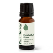 Plant Therapy Eucalyptus Dives Essential Oil Essential Oil White Smoke 10 mL