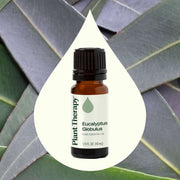 Plant Therapy Eucalyptus Globulus Essential Oil Essential Oil Seashell 10 mL,30 mL,100 mL