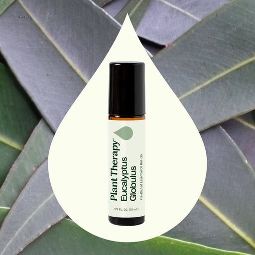 Plant Therapy Eucalyptus Globulus Essential Oil Pre-Diluted Roll-On Essential Oil Seashell 10 mL