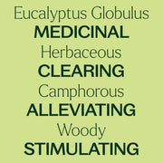 Plant Therapy Eucalyptus Globulus Essential Oil Essential Oil Khaki 10 mL,30 mL,100 mL