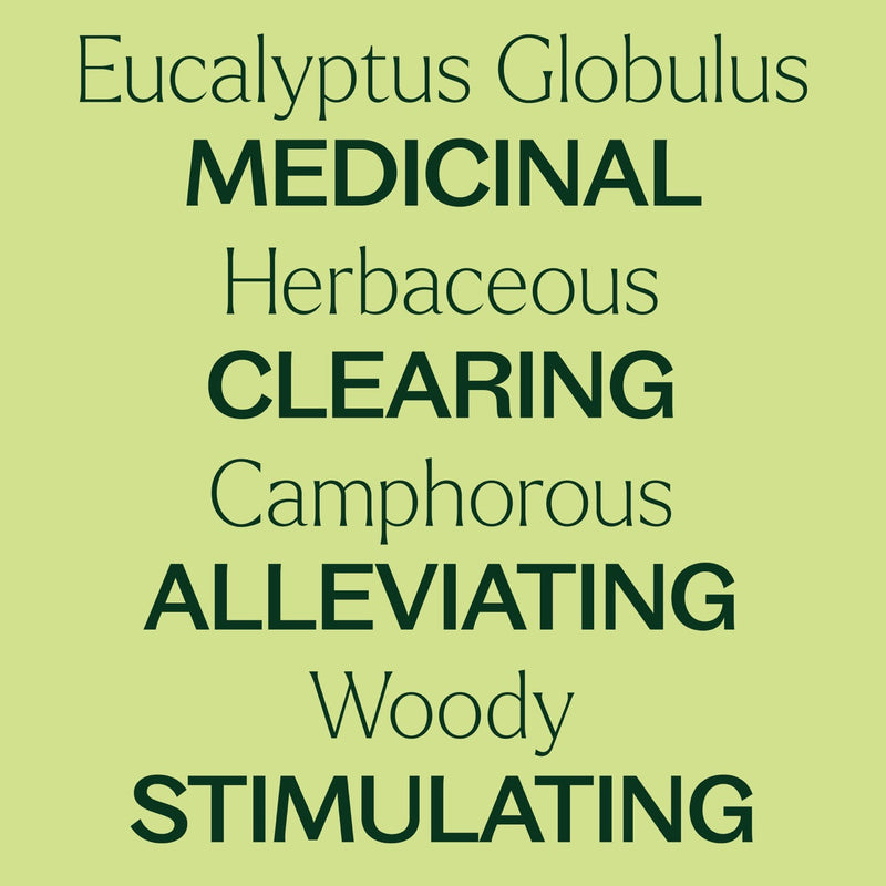 Plant Therapy Eucalyptus Globulus Essential Oil Essential Oil Khaki 10 mL,30 mL,100 mL