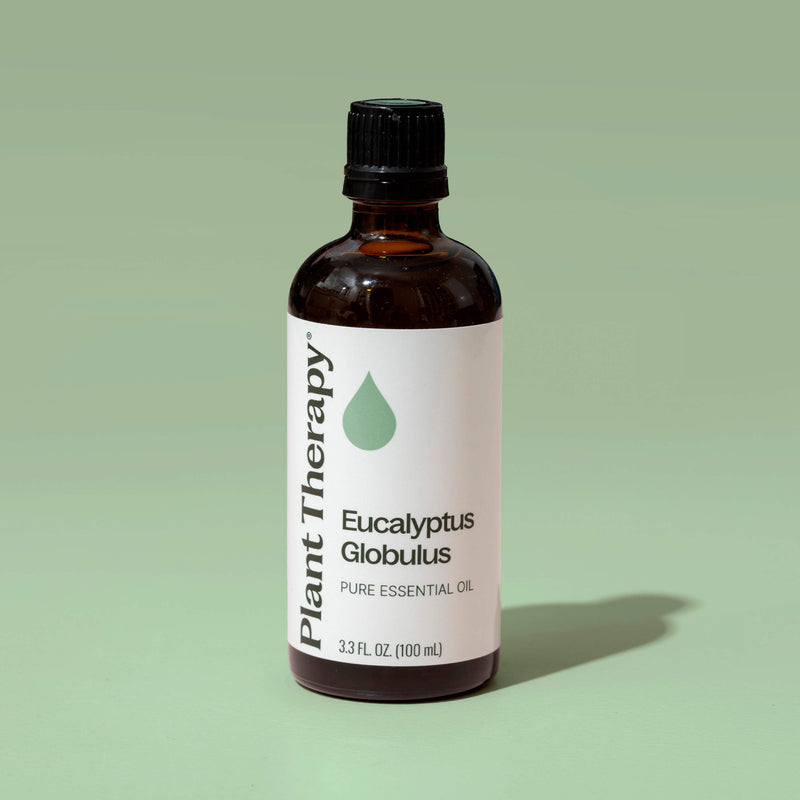 Plant Therapy Eucalyptus Globulus Essential Oil Essential Oil Dark Gray 10 mL,30 mL,100 mL